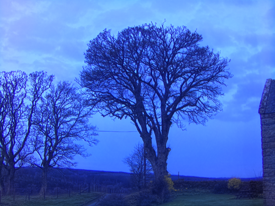 Webcam photo for 06 hrs today