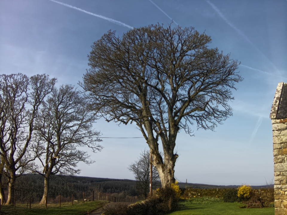 Webcam photo for 10 hrs today