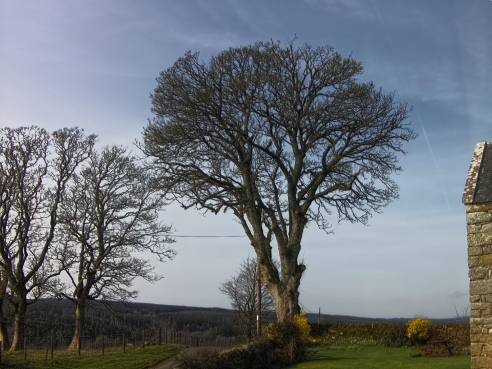 Webcam photo for 11 hrs today