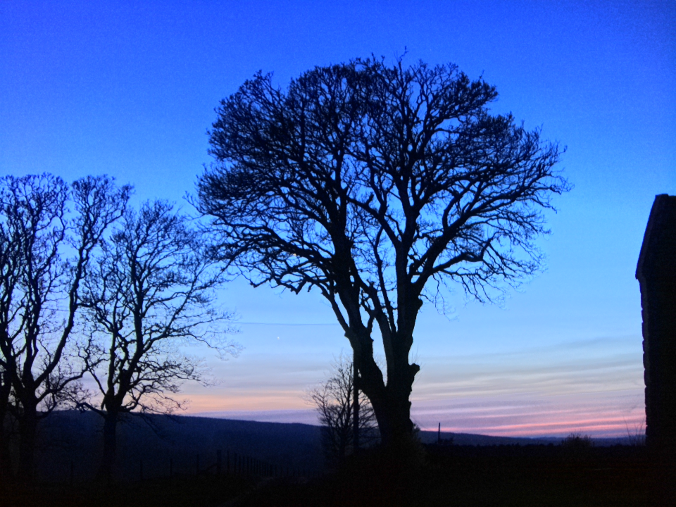 Webcam photo for 19 hrs today