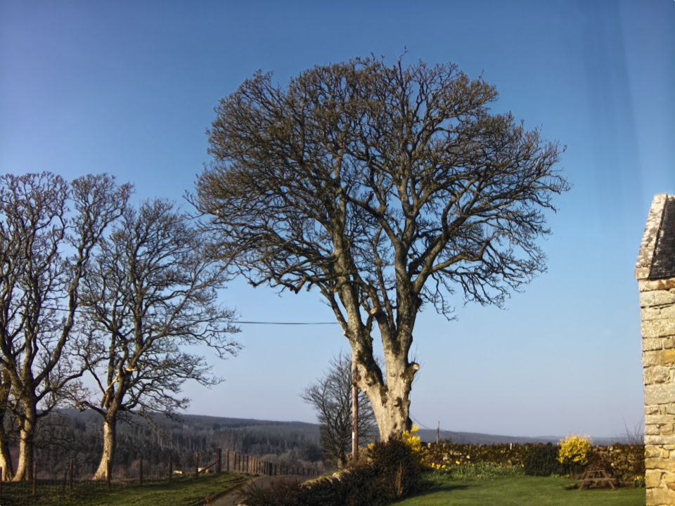 Webcam photo for 09 hrs today