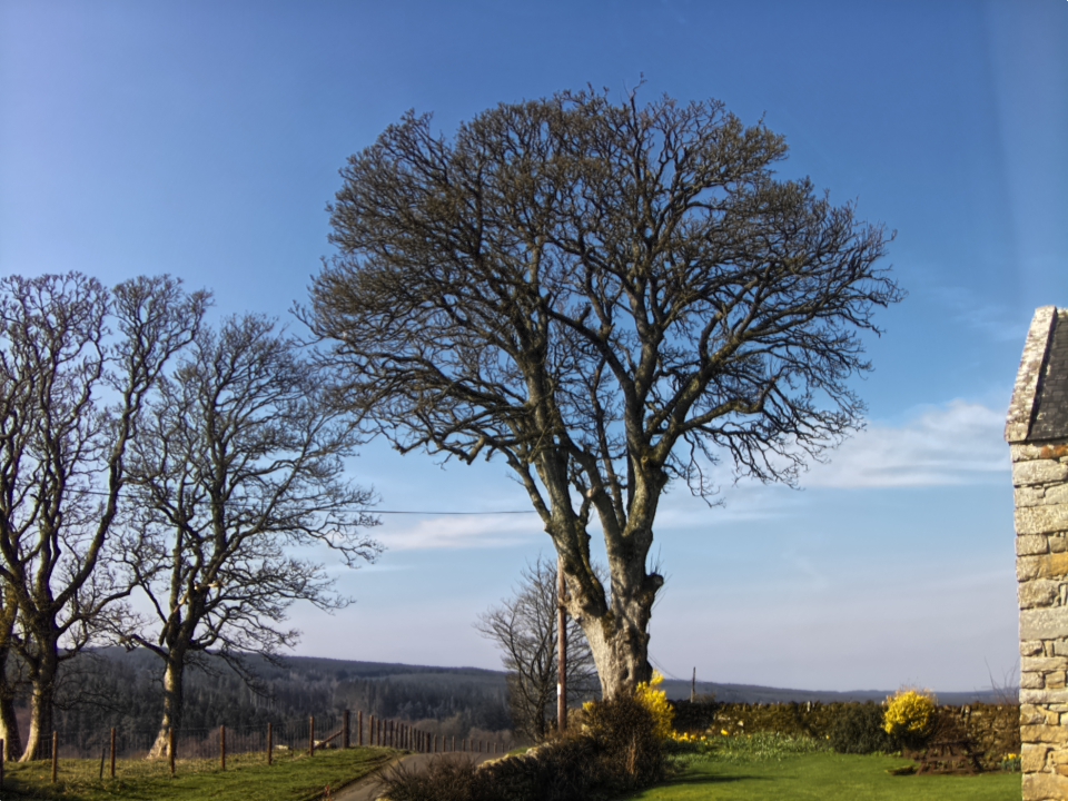 Webcam photo for 11 hrs today