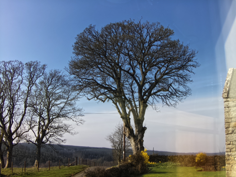 Webcam photo for 12 hrs today