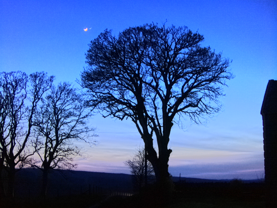 Webcam photo for 19 hrs today