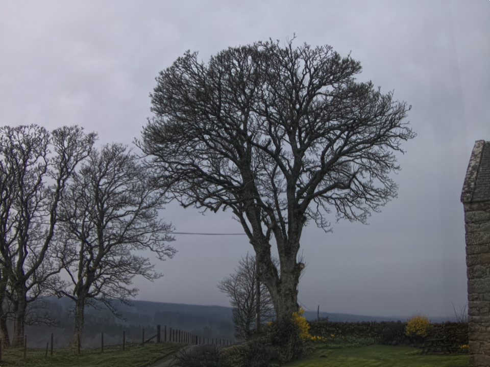 Webcam photo for 07 hrs today