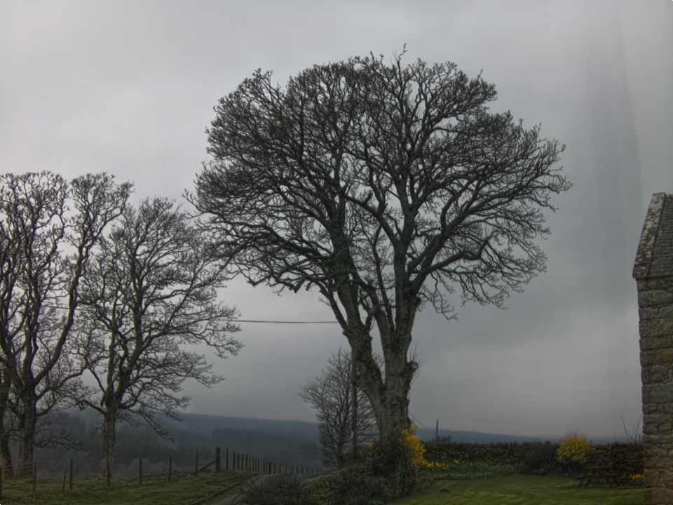 Webcam photo for 08 hrs today