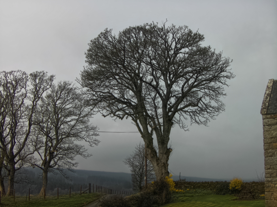 Webcam photo for 10 hrs today