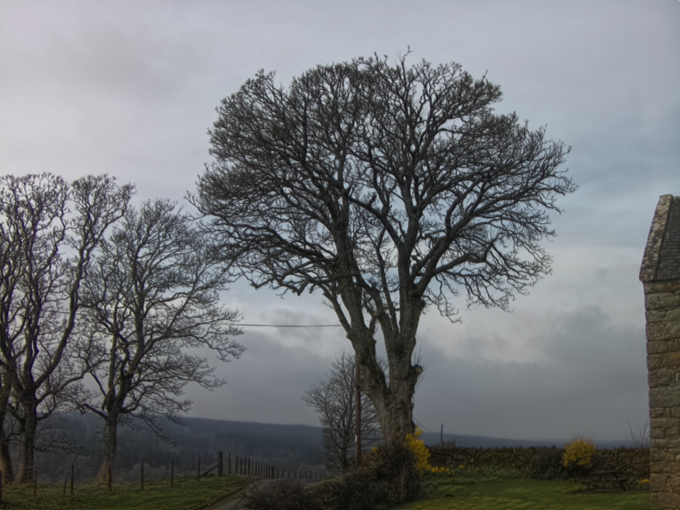 Webcam photo for 11 hrs today