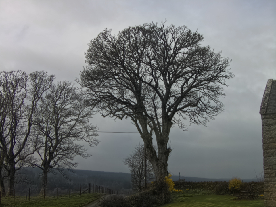 Webcam photo for 12 hrs today