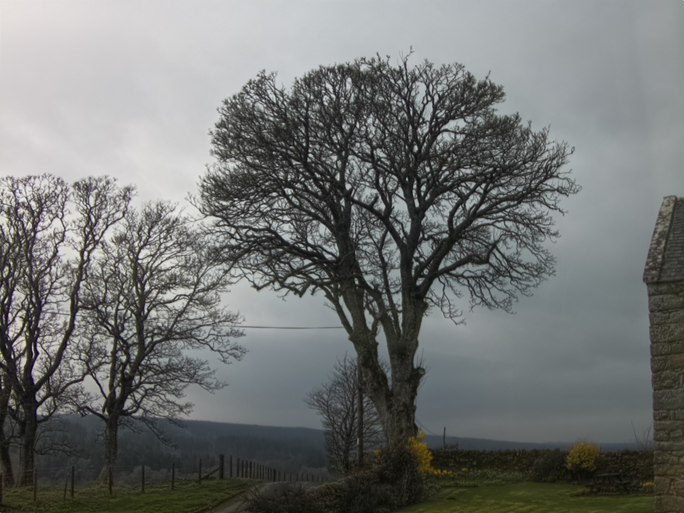 Webcam photo for 13 hrs today