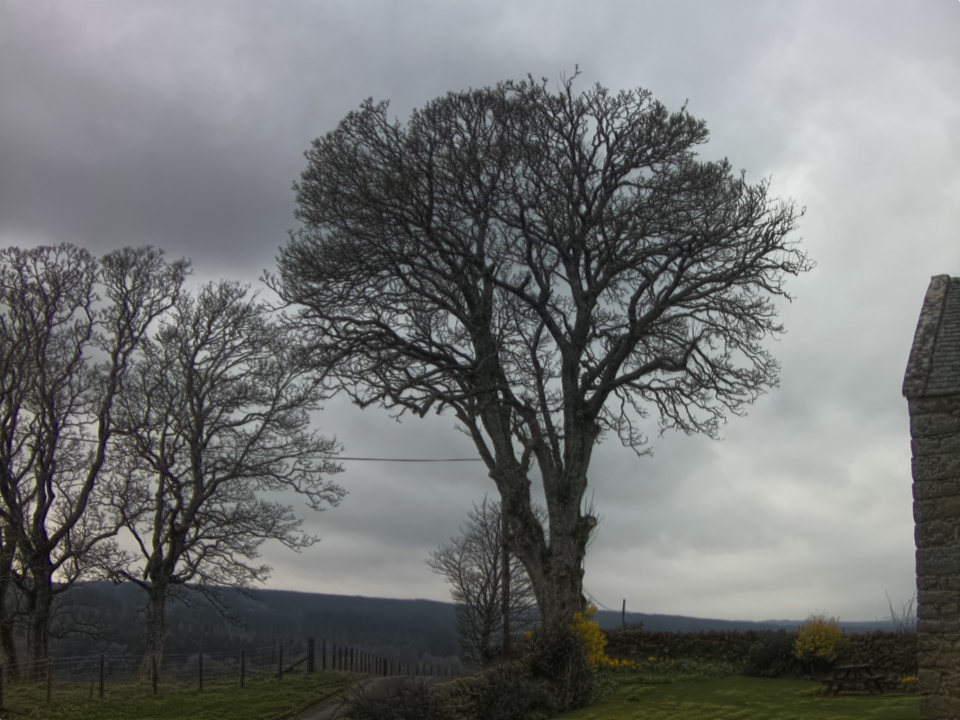 Webcam photo for 14 hrs today