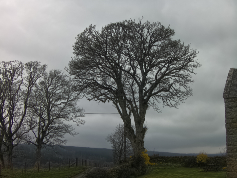 Webcam photo for 15 hrs today