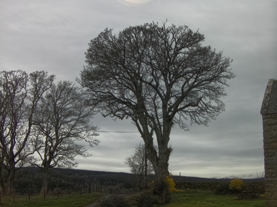 Webcam photo for 12 hrs today