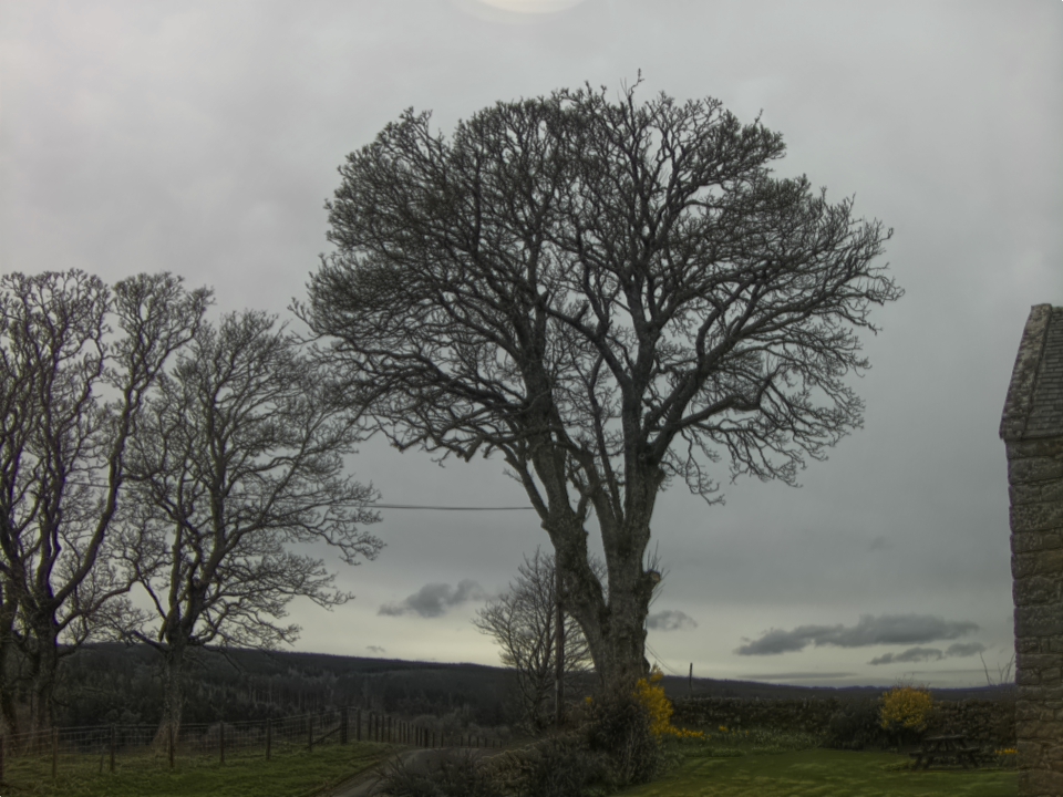 Webcam photo for 13 hrs today