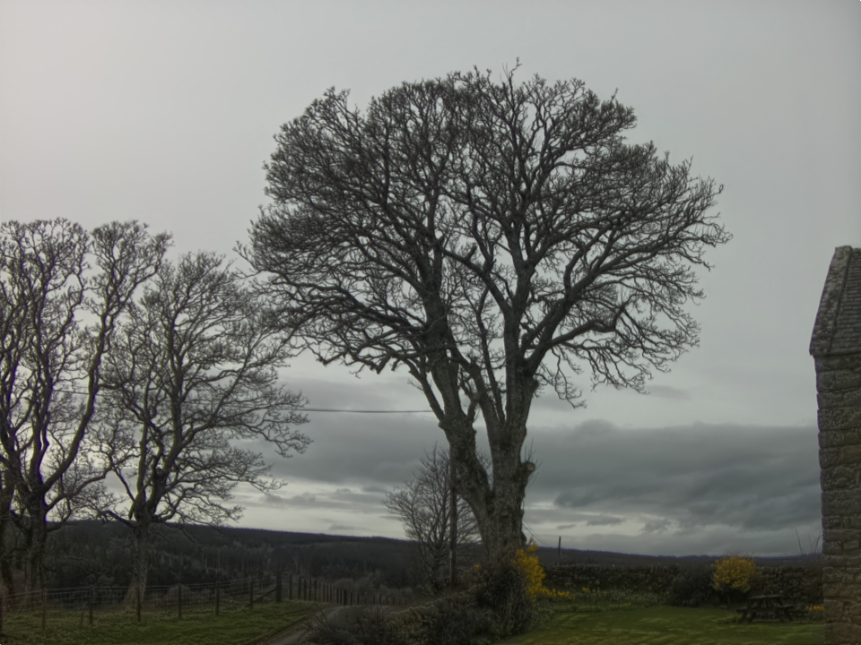 Webcam photo for 14 hrs today