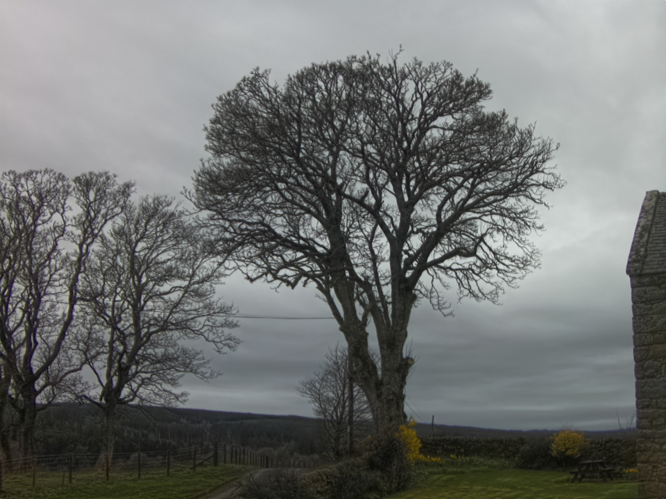 Webcam photo for 15 hrs today