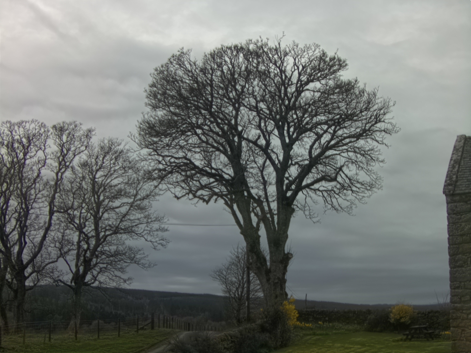 Webcam photo for 16 hrs today