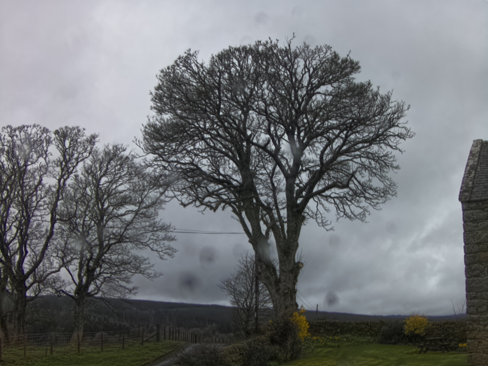 Webcam photo for 08 hrs today