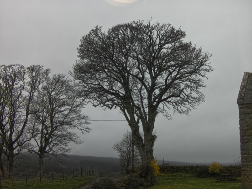 Webcam photo for 11 hrs today