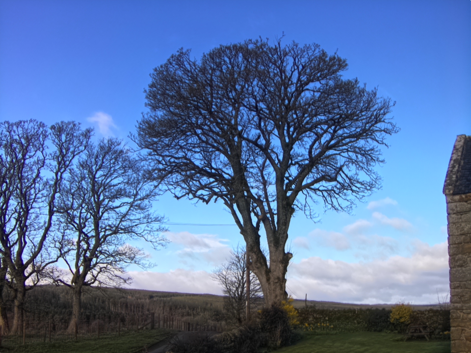 Webcam photo for 08 hrs today