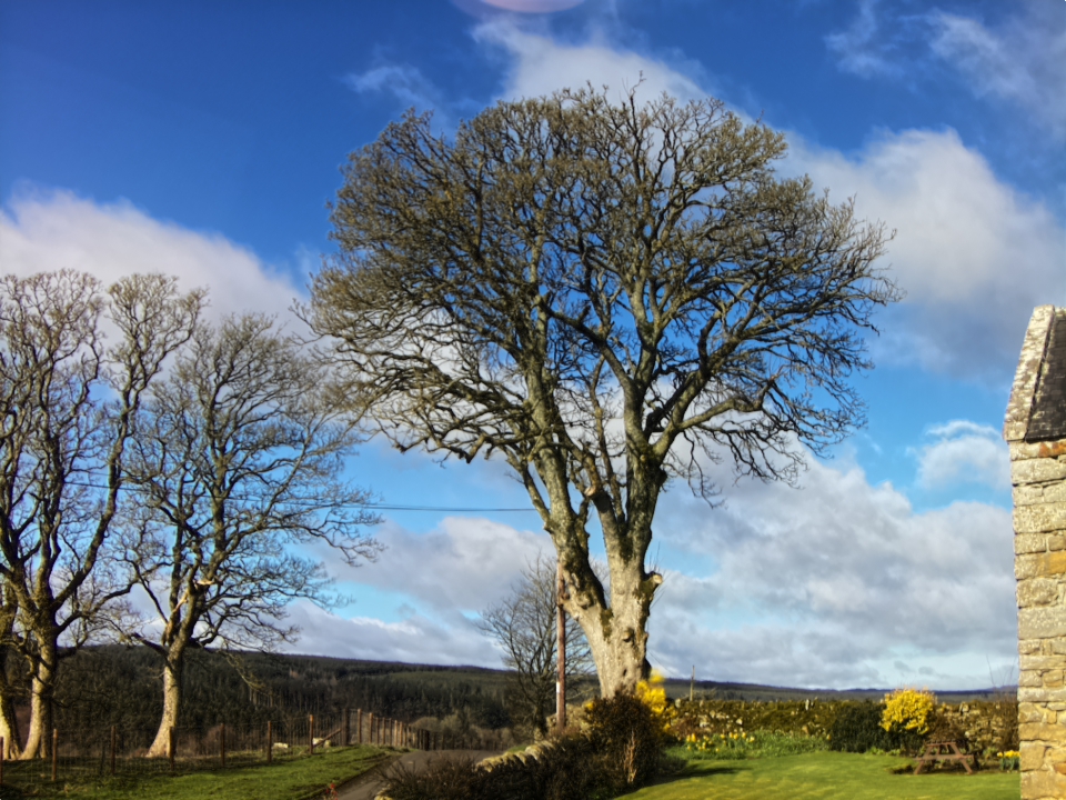 Webcam photo for 09 hrs today