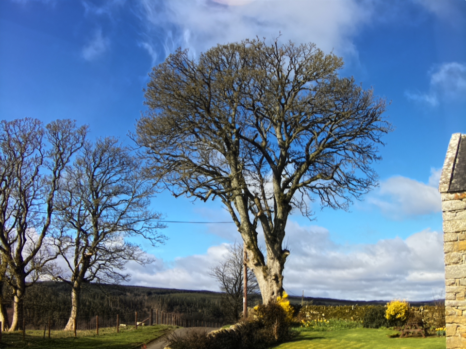 Webcam photo for 10 hrs today