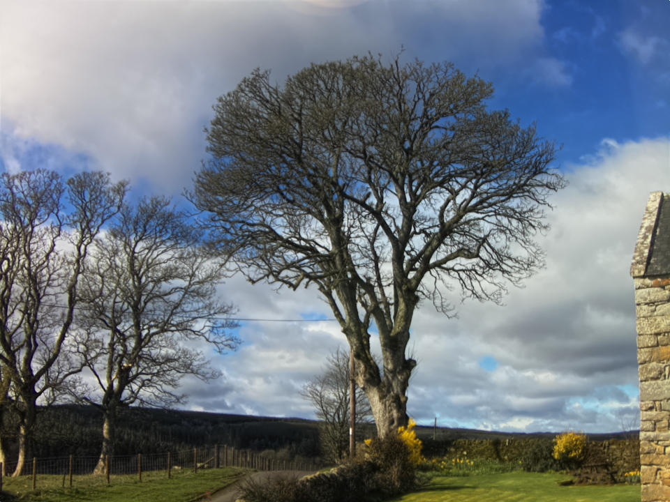 Webcam photo for 11 hrs today