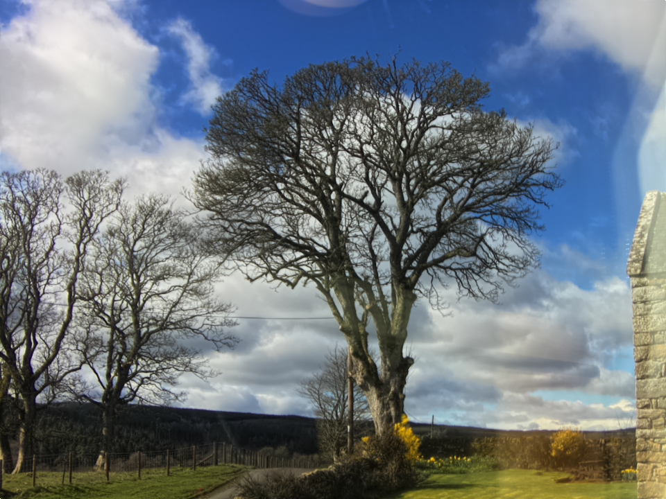 Webcam photo for 12 hrs today