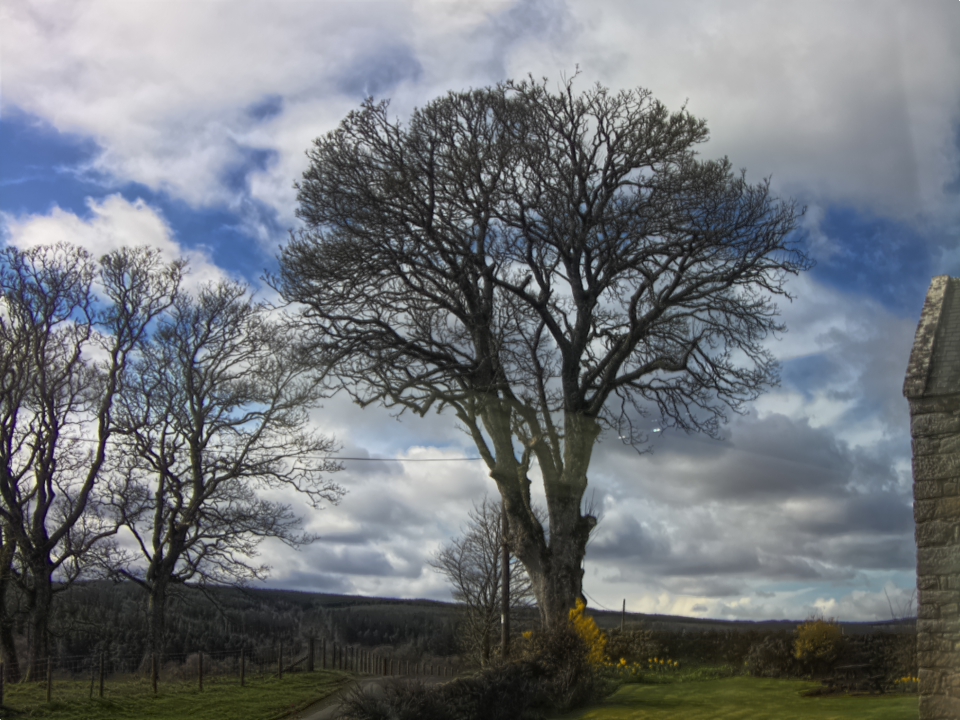 Webcam photo for 13 hrs today