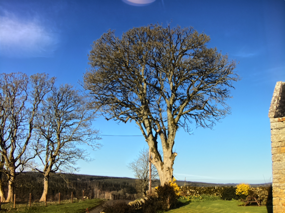 Webcam photo for 08 hrs today