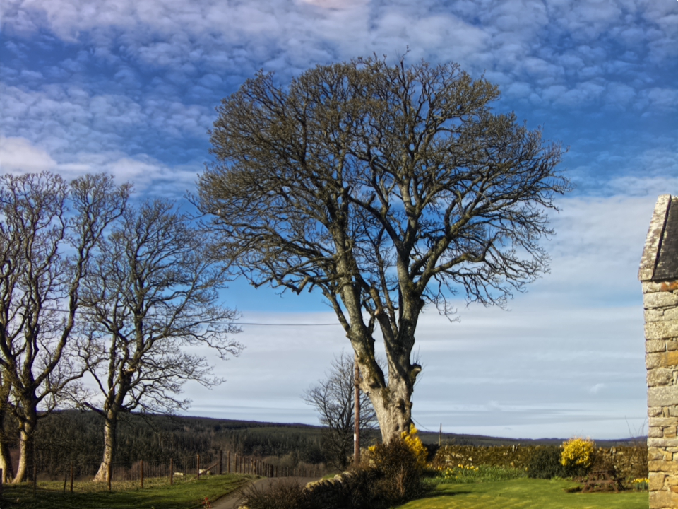 Webcam photo for 10 hrs today