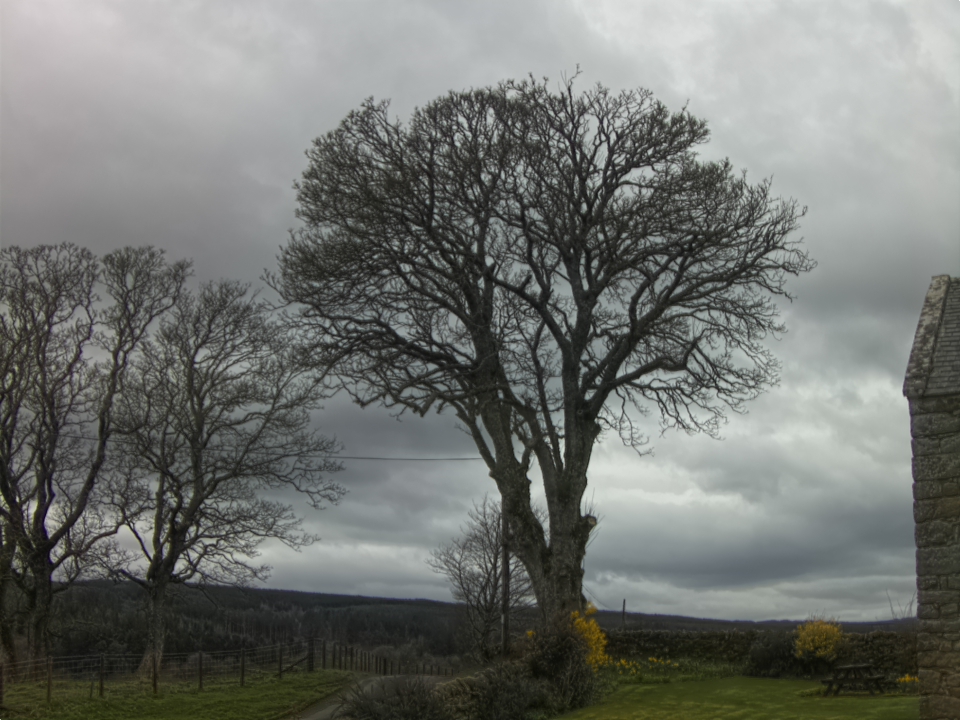 Webcam photo for 14 hrs today