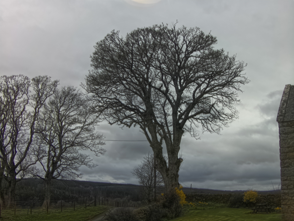 Webcam photo for 15 hrs today