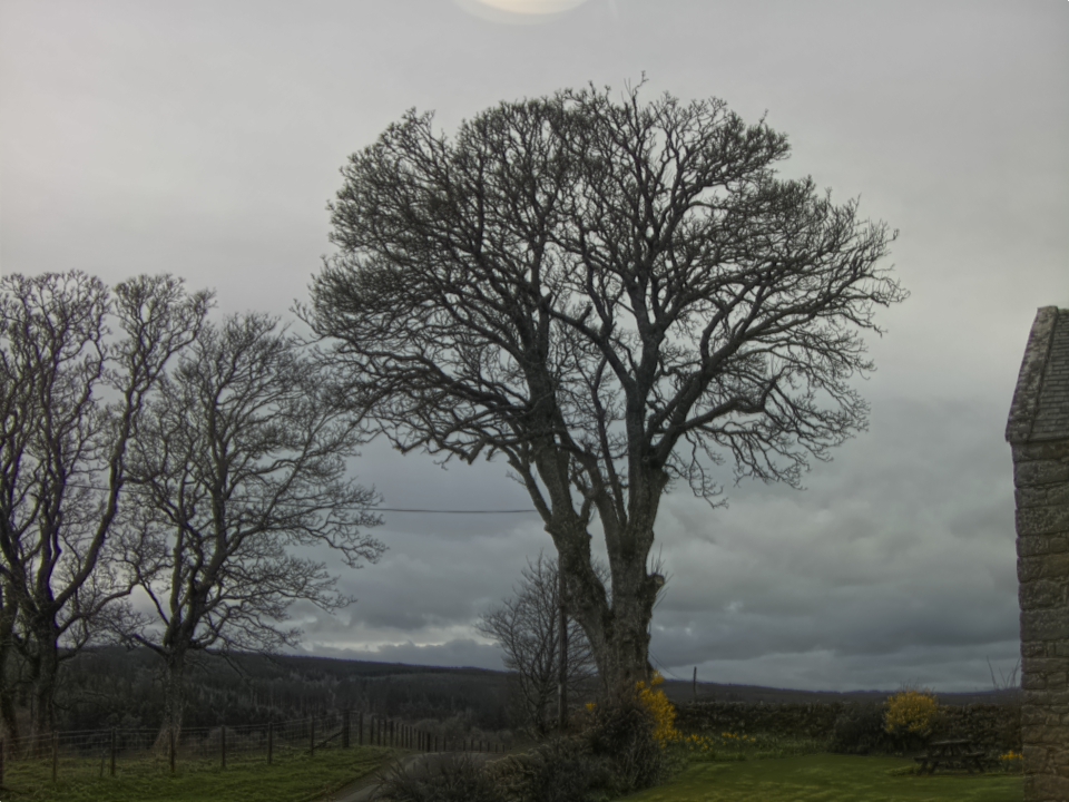 Webcam photo for 16 hrs today