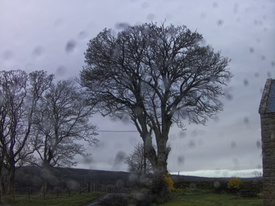 Webcam photo for 08 hrs today