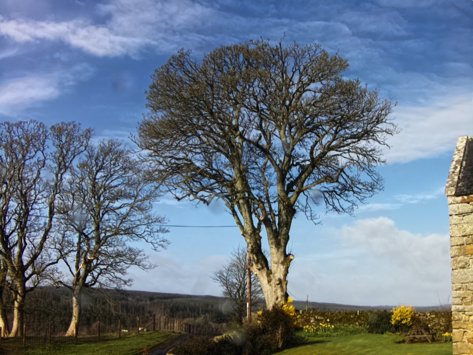 Webcam photo for 09 hrs today