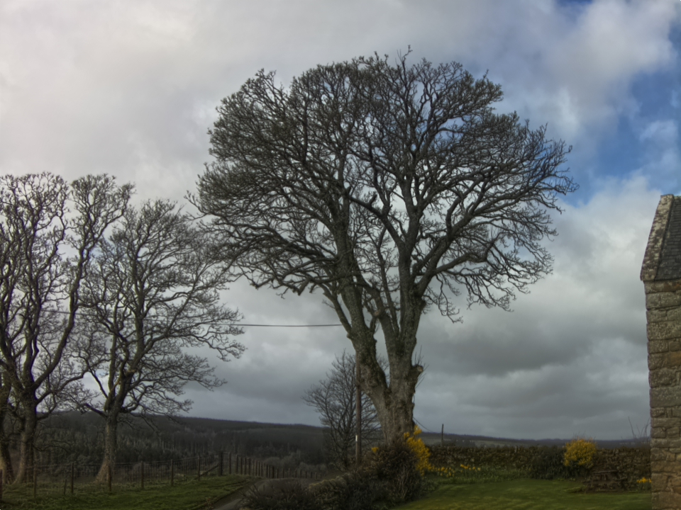 Webcam photo for 10 hrs today