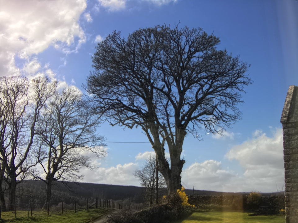 Webcam photo for 14 hrs today