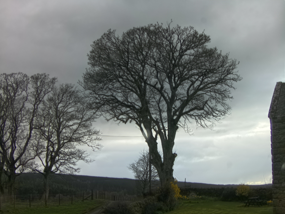 Webcam photo for 16 hrs today