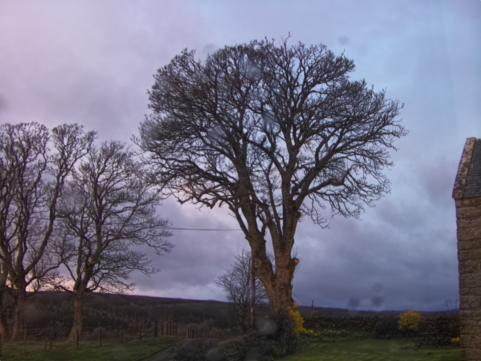 Webcam photo for 06 hrs today