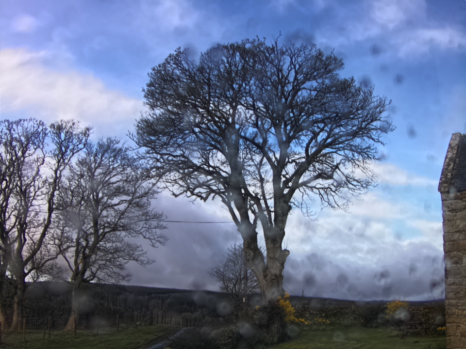 Webcam photo for 08 hrs today