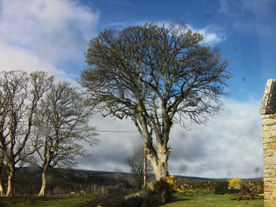 Webcam photo for 09 hrs today