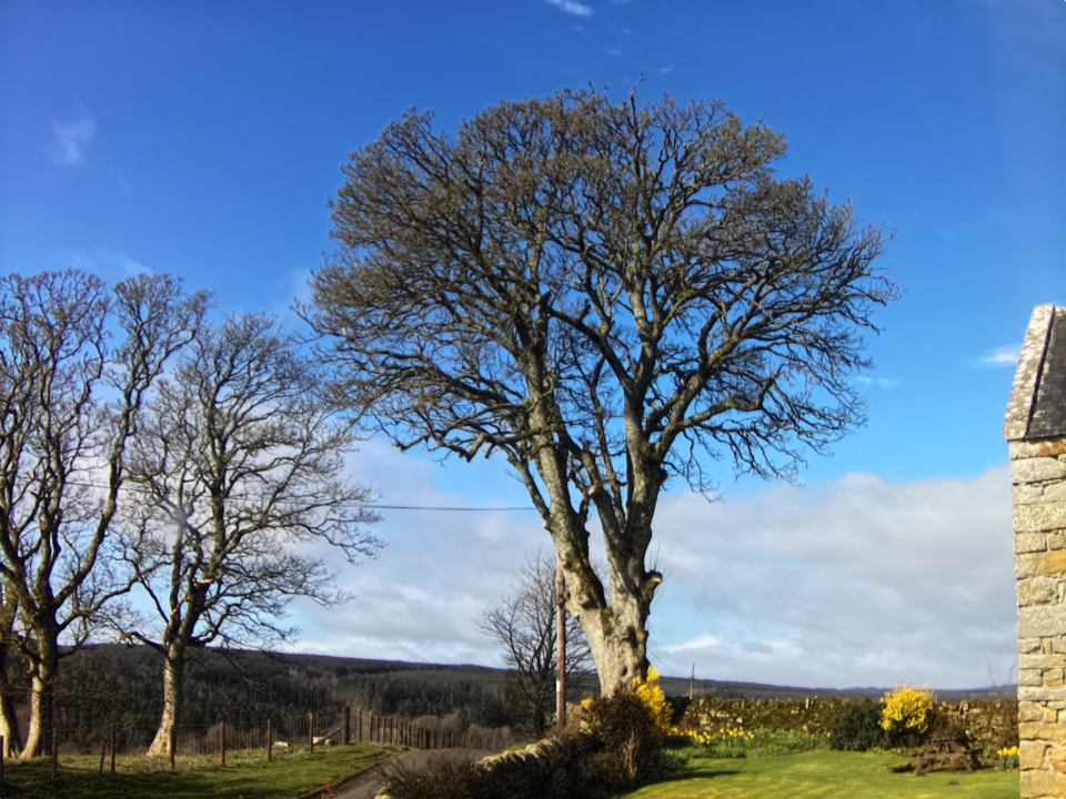 Webcam photo for 10 hrs today