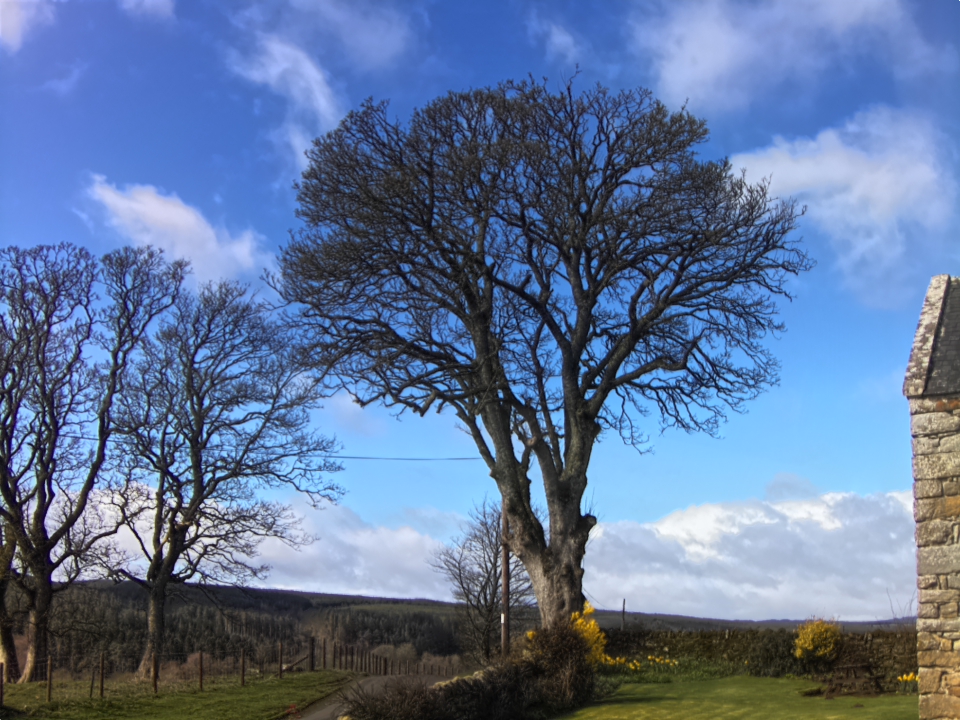 Webcam photo for 11 hrs today