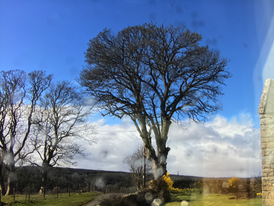 Webcam photo for 12 hrs today