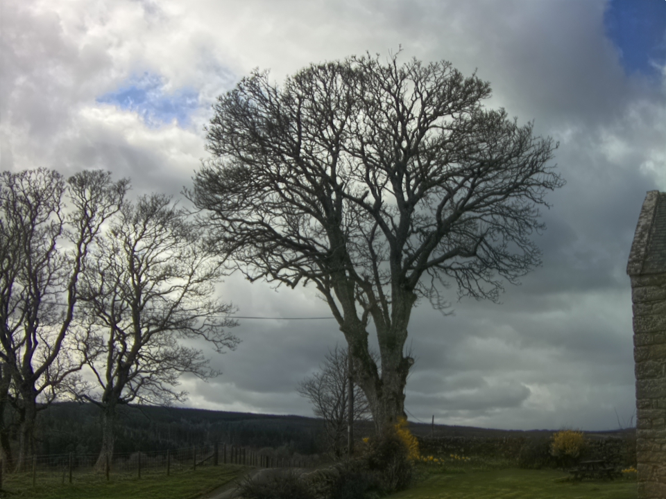 Webcam photo for 14 hrs today