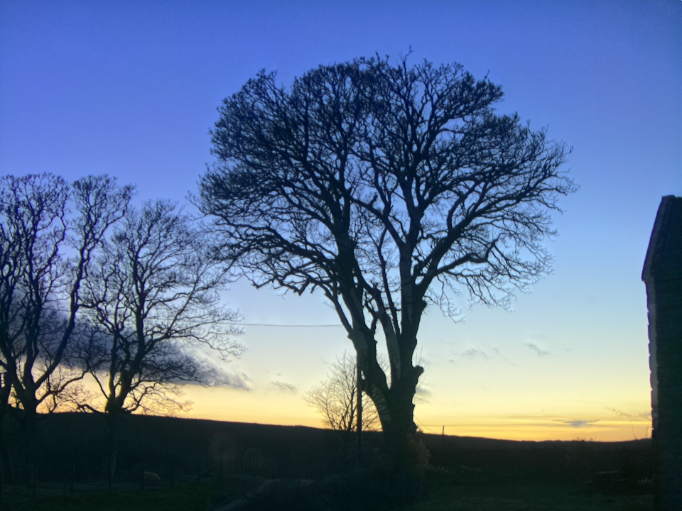 Webcam photo for 19 hrs today