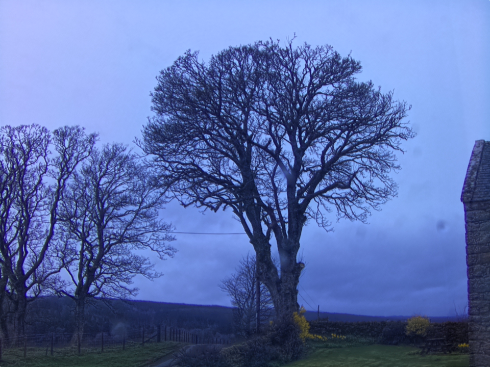 Webcam photo for 07 hrs today