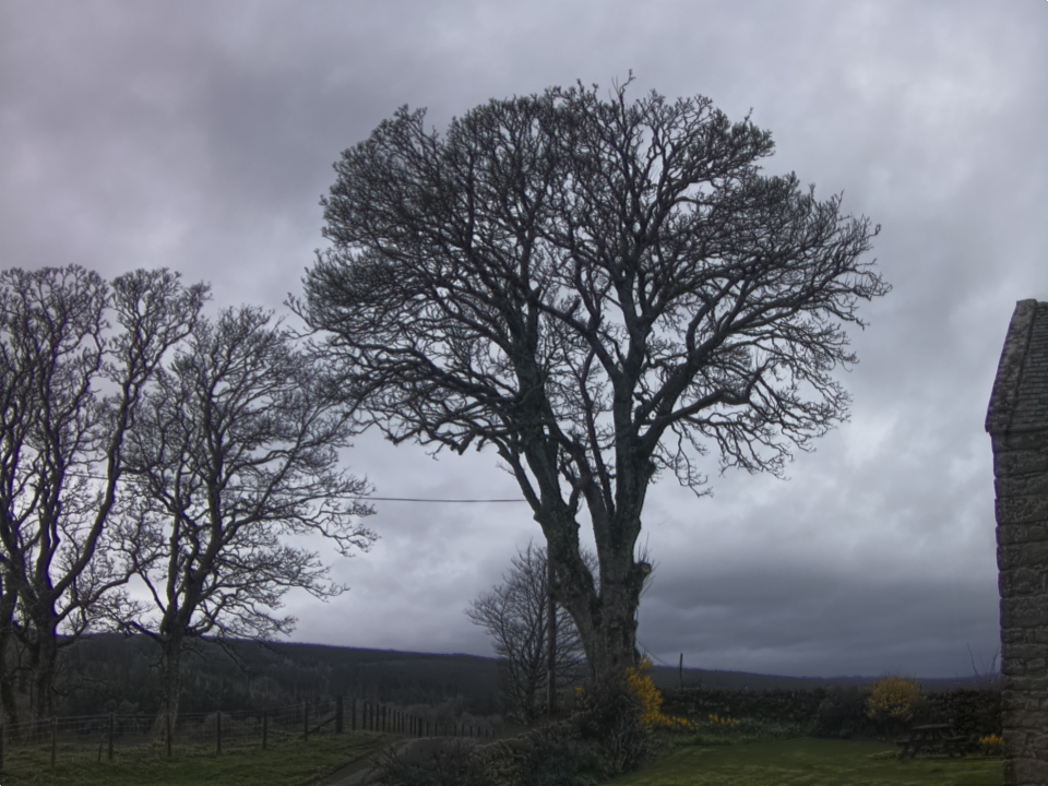 Webcam photo for 08 hrs today