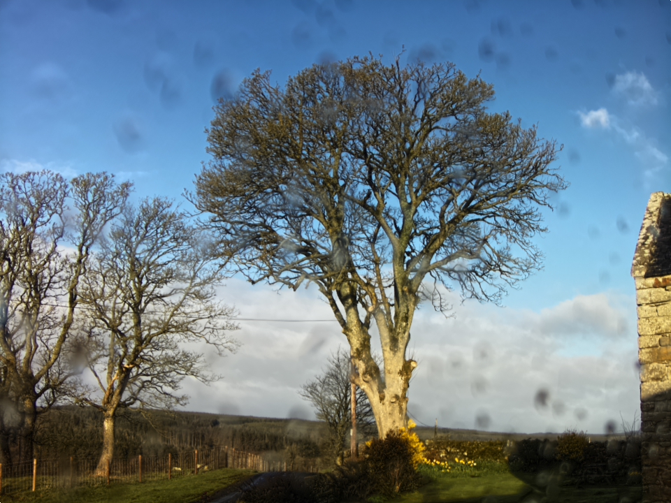 Webcam photo for 08 hrs today